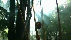 夏威夷群岛