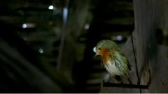 影视原声 - 大地的主人