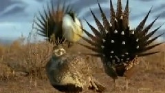 影视原声 - Amidst The Factory Smoke