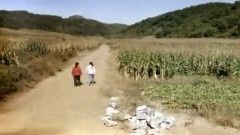 樱桃电视剧全集免费 762500.jpg