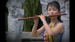 李贵中 - 有一个美丽的地方 巴乌版