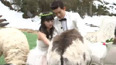 我们结婚了