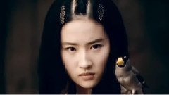 无双之无情