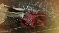 ТИНА КАРОЛЬ