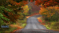 The Colors of Autumn