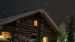 雪绒花