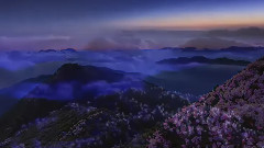 Franz Schubert: Schwanengesan舒伯特:
