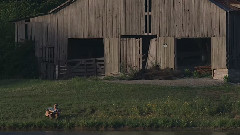 Moonshine